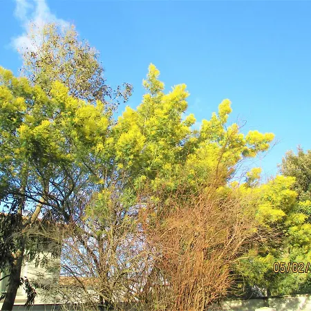 Mer A 100M,,,Villa Libre Au 12Oct,,,Dans La Rue Nature De Ronce,,Espace,,Liberte,,Nature,,,Les Joies De Mer ! *