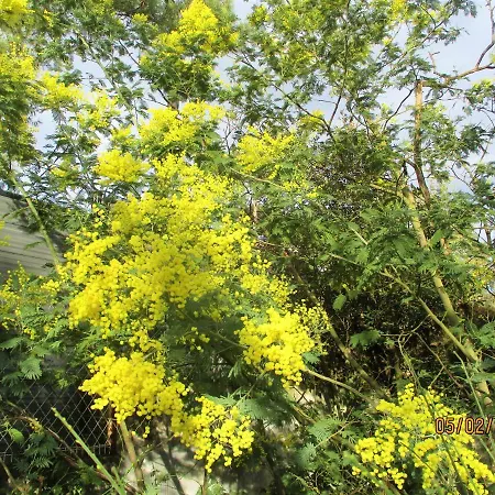 Mer A 100M,,,Villa Libre Au 12Oct,,,Dans La Rue Nature De Ronce,,Espace,,Liberte,,Nature,,,Les Joies De Mer ! *