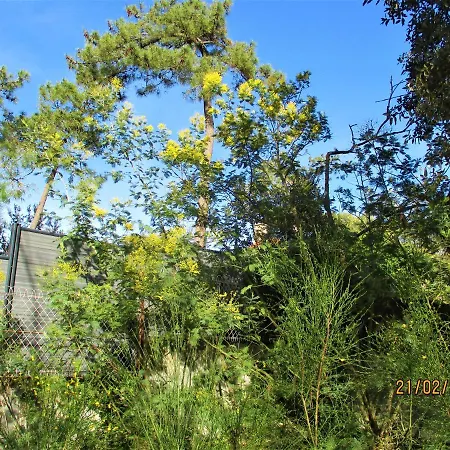 Mer A 100M,,,Villa Libre Au 12Oct,,,Dans La Rue Nature De Ronce,,Espace,,Liberte,,Nature,,,Les Joies De Mer ! Villa